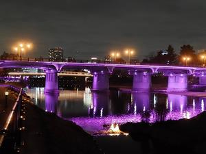 パープルライトアップ