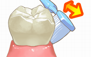 歯頚部のみがき方