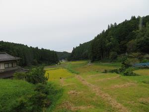 田園風景