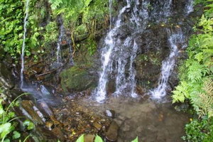 鳥川ホタルの里湧水群の写真その1