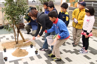 記念植樹の写真3