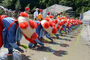 主基斎田お田植まつり