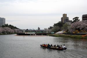 290409桜と観光船と人道橋