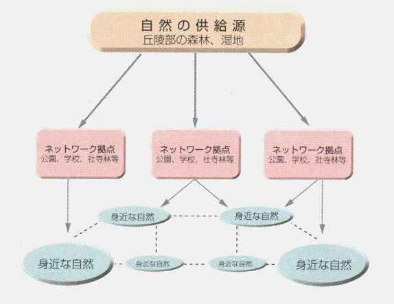 自然ネットワークの図