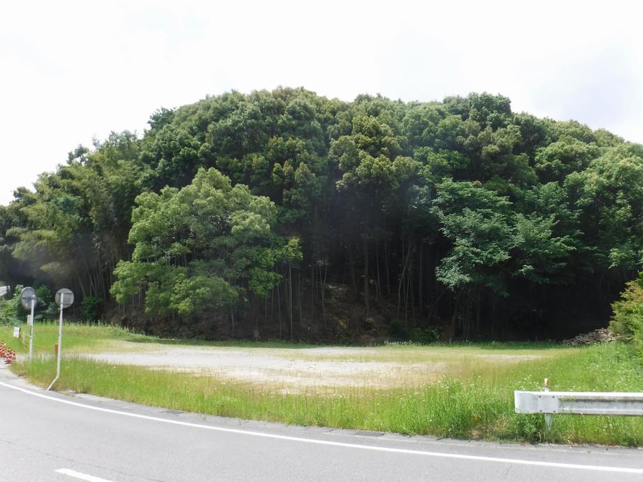 岩津城跡全景