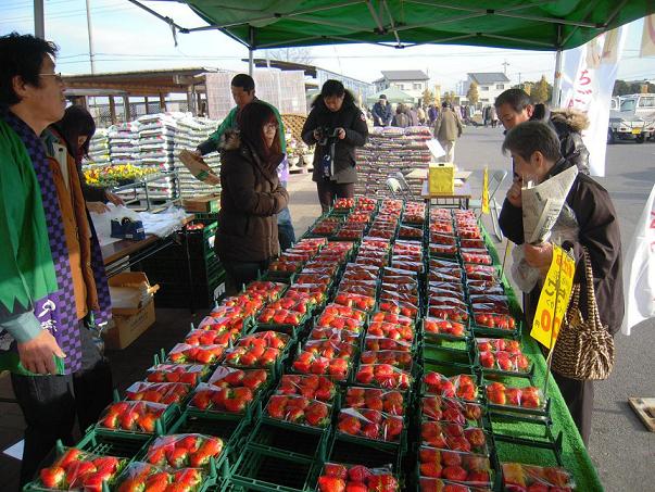 いちご試食即売会の写真