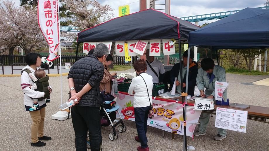 イチゴ4月1