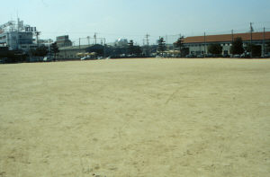 井田公園運動場写真