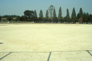 堤下公園運動場写真