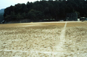 東部運動場写真