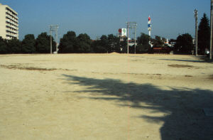 明神橋公園運動場写真