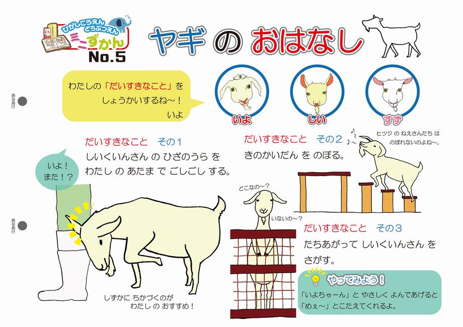 図鑑No.5の画像