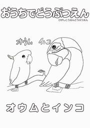 オウム、インコのぬり絵画像