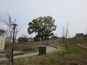 春咲の丘公園