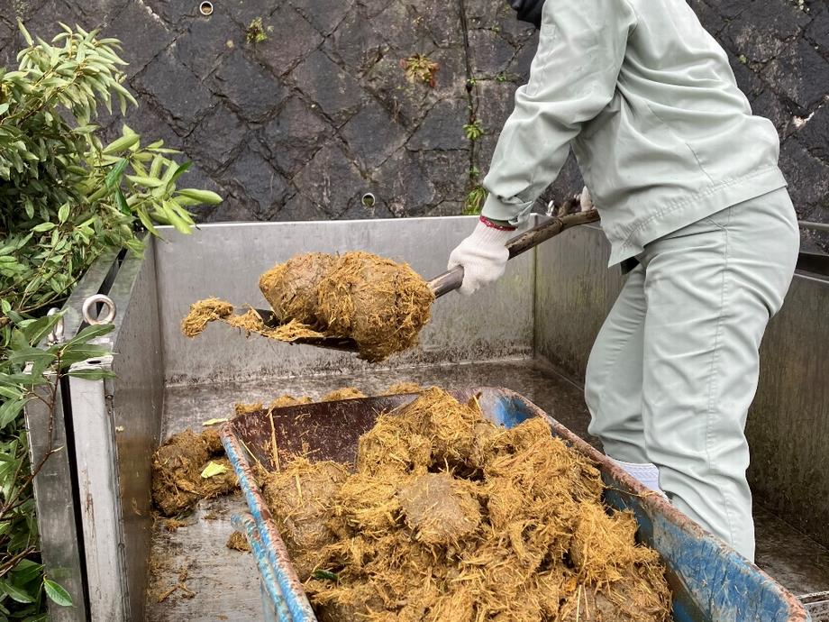 大人の飼育体験の様子4