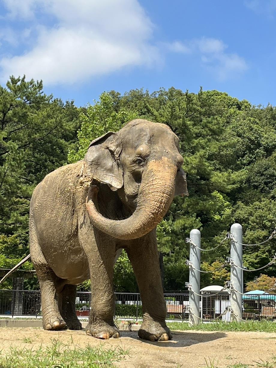 ふじ子の写真2