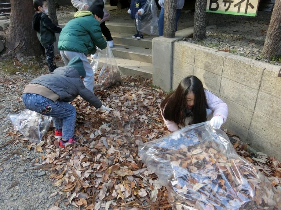 落ち葉を集める様子