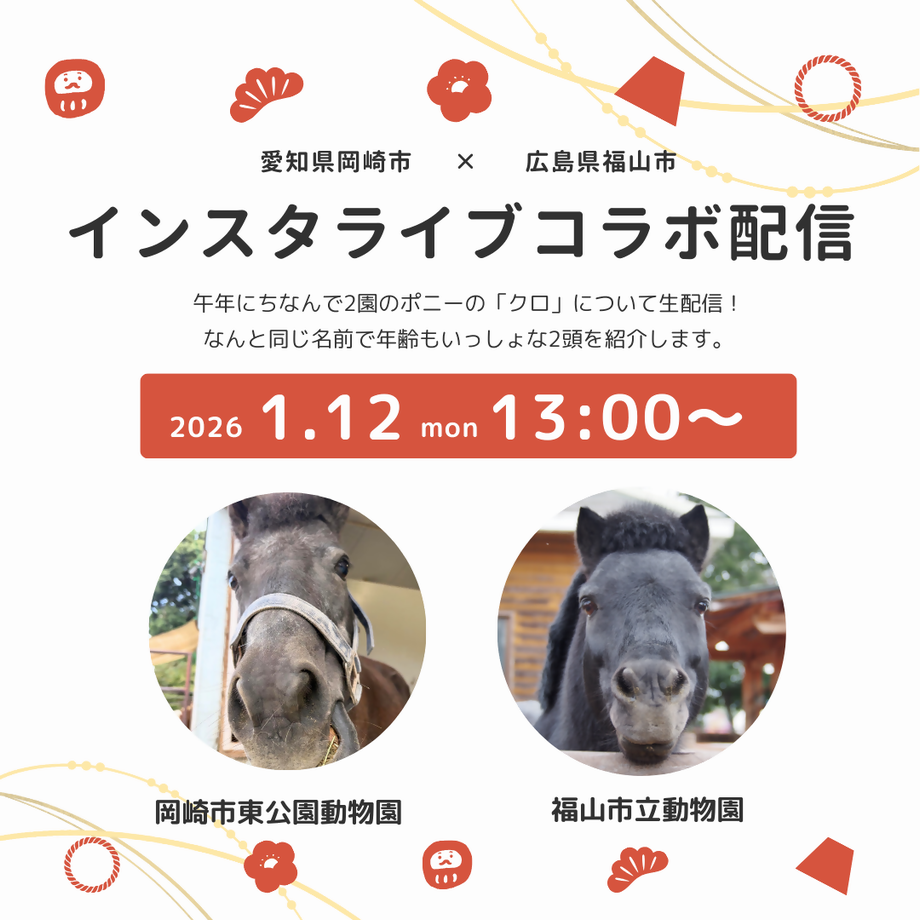 インスタライブコラボ