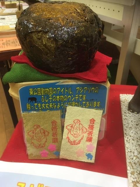 写真：ふじ子のウンチとお渡しするしおりの見本1