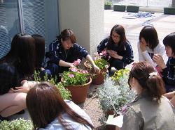 苗の植え付け風景・2