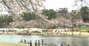 桜風景＜岡崎公園＞