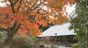 岡崎の四季　「秋」