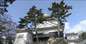 感動、岡崎城と龍城神社