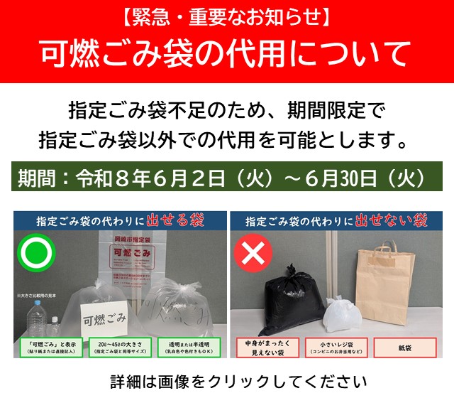 可燃ごみ袋の代用について