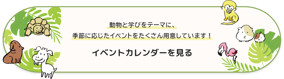 動物との学びをテーマに、季節に応じたイベントをたくさん用意しています！　イベントカレンダーを見る