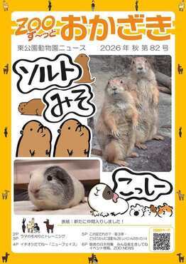 表紙:ずーっとおかざき82号