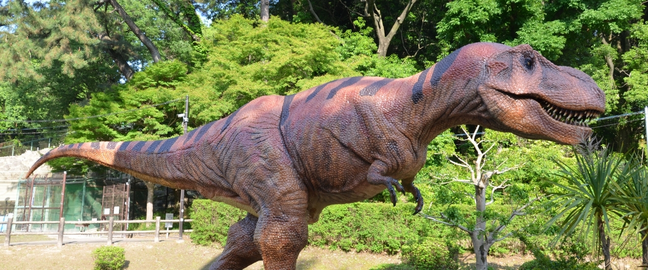 写真：等身大のティラノサウルス