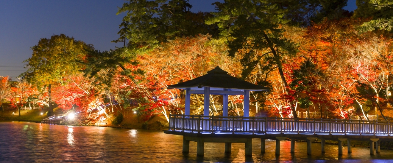 写真：ライトアップされた紅葉と浮御堂