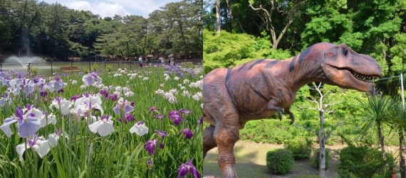 写真：岡崎市東公園
