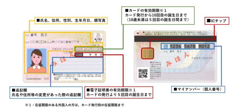イラスト：マイナンバーカードの記載事項
