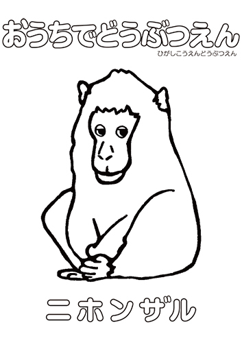 イラスト：ニホンザルのぬり絵