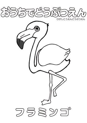 イラスト：フラミンゴのぬり絵