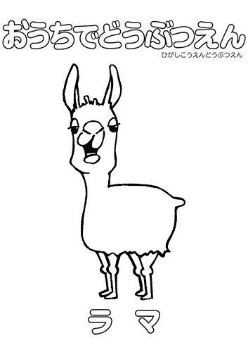 イラスト：ラマのぬり絵