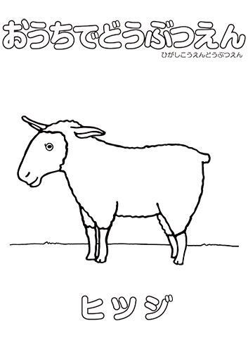 イラスト：ヒツジのぬり絵