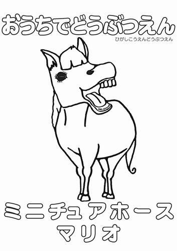 イラスト：ミニチュアホースのぬり絵