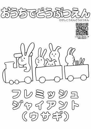 イラスト：フレミッシュジャイアント（ウサギ）のぬり絵