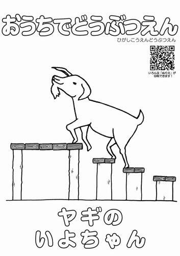 イラスト：ヤギのいよちゃんのぬり絵