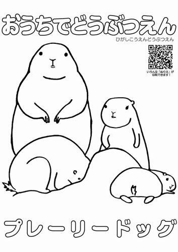 イラスト：プレリードッグのぬり絵