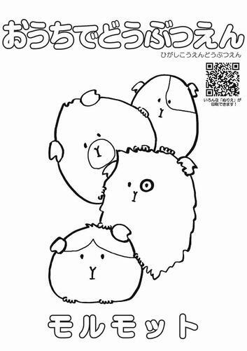 イラスト：モルモットのぬり絵