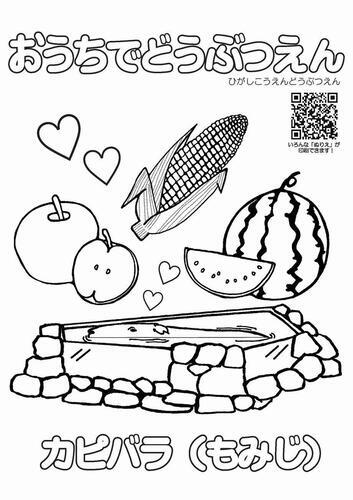 イラスト：カピバラ　もみじのぬり絵2