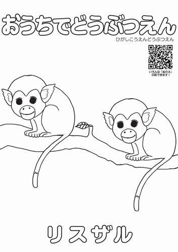 イラスト：リスザルのぬり絵