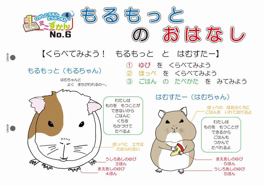 写真：ミニ図鑑No.6