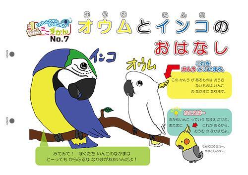 写真：ミニ図鑑No.7