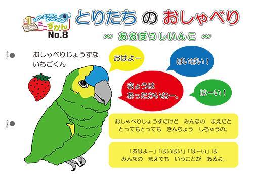 写真：ミニ図鑑No.8