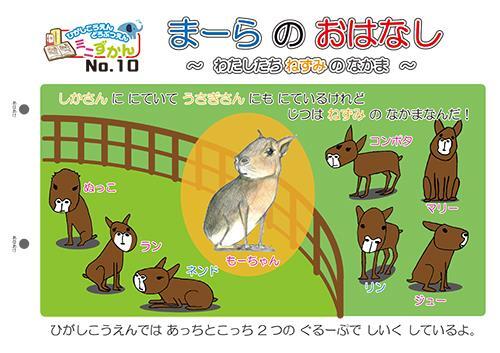 写真：ミニ図鑑No.10