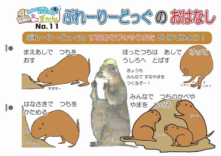 写真：ミニ図鑑No.11